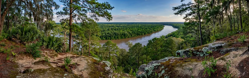 Adventure Awaits: Exciting Activities in and Around Hazlehurst
